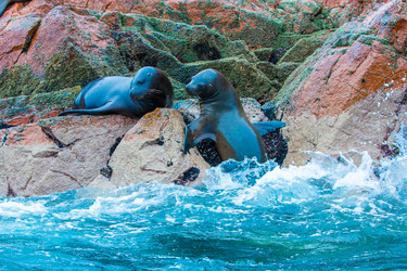 Similar image 8353936