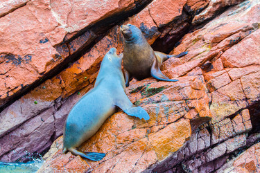 Similar image 8353940