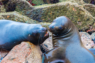 Similar image 8353963