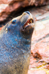 Similar image 8353965