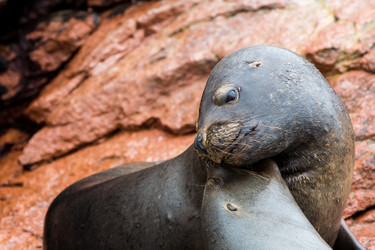 Similar image 8353966