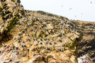 Similar image 8354036