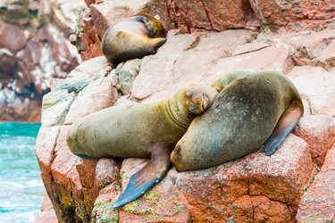 Similar image 8354037