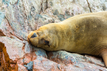 Similar image 8354038