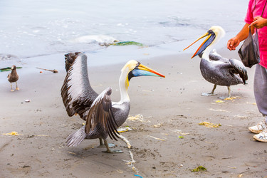 Similar image 8354041