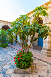 Similar image 8354048