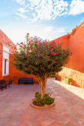 Similar image 8354049