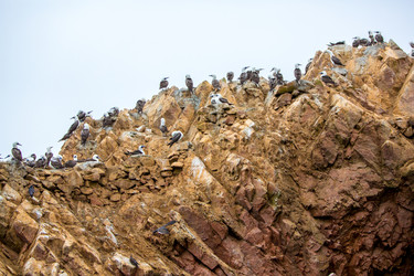 Similar image 8354061