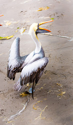 Similar image 8354062