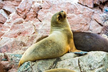 Similar image 8354065