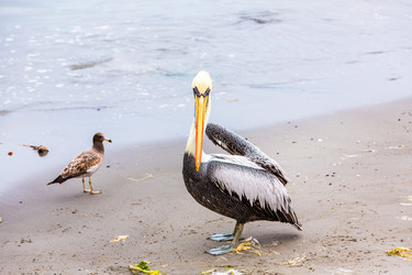 Similar image 8354071