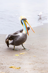 Similar image 8354075