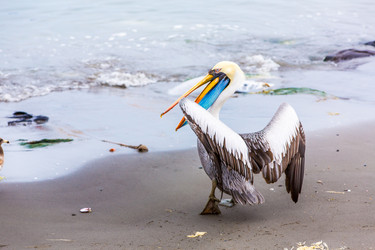 Similar image 8354078