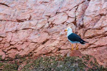 Similar image 8354081