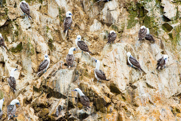 Similar image 8354084