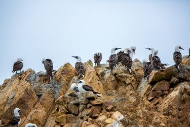 Similar image 8354085