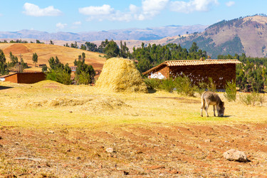 Similar image 8354107