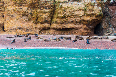 Similar image 8354108