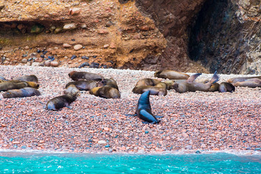 Similar image 8354111