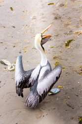 Similar image 8354119