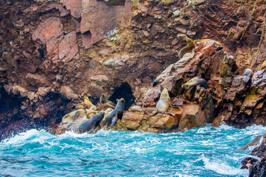 Similar image 8354122