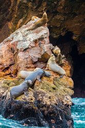 Similar image 8354123