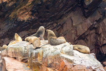 Similar image 8354124