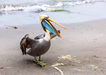 Similar image 8354139