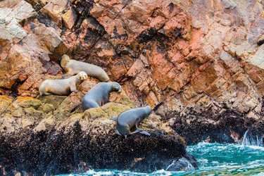 Similar image 8354163