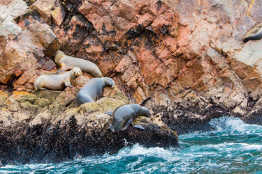 Similar image 8354164