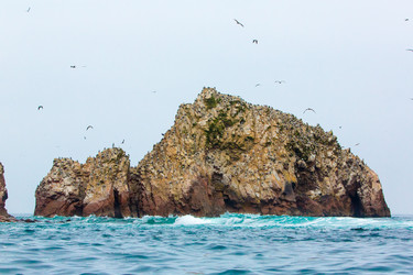 Similar image 8354193