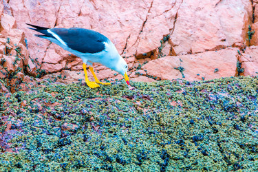 Similar image 8354216