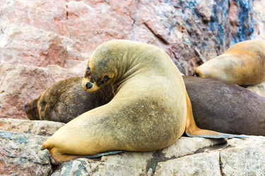 Similar image 8354222