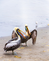 Similar image 8354223