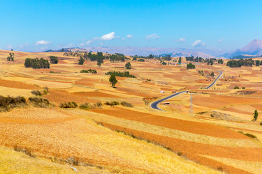 Similar image 8354230