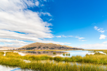 Similar image 8354238