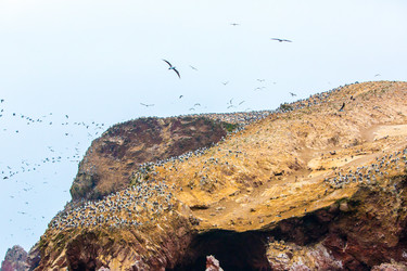 Similar image 8354262