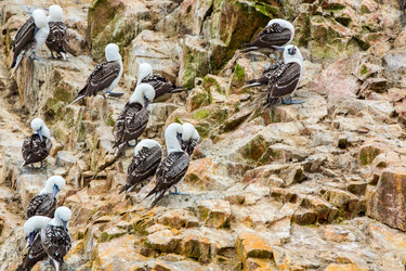 Similar image 8354264