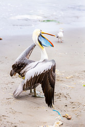 Similar image 8354267