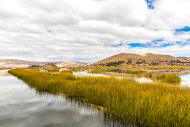 Similar image 8354289