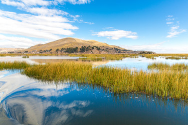 Similar image 8354325