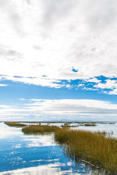 Similar image 8354326