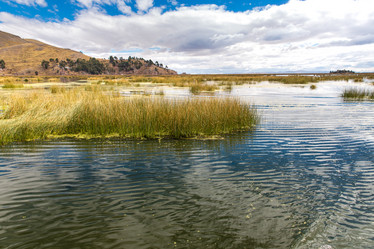 Similar image 8354329