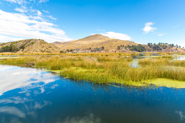 Similar image 8354330