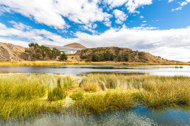 Similar image 8354331