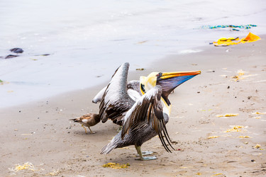 Similar image 8354349