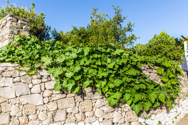 Similar image 8354364