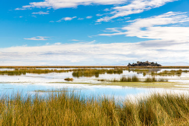 Similar image 8354369