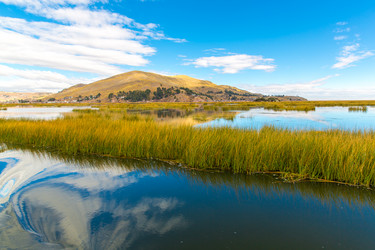 Similar image 8354375