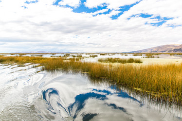 Similar image 8354380